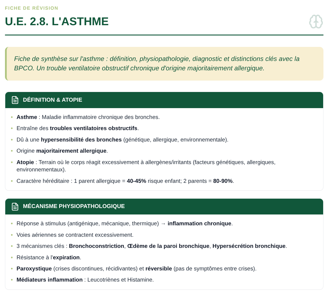 Exemple de Fiche Synthèse